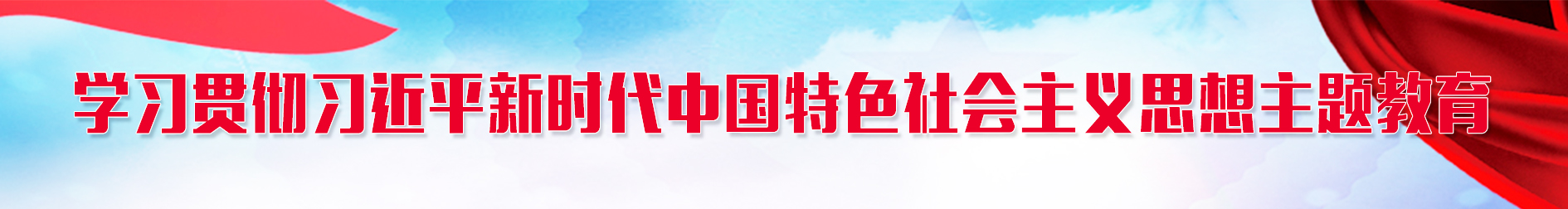 学习贯彻习近平新时代中国特色社会主义思想主题教育
