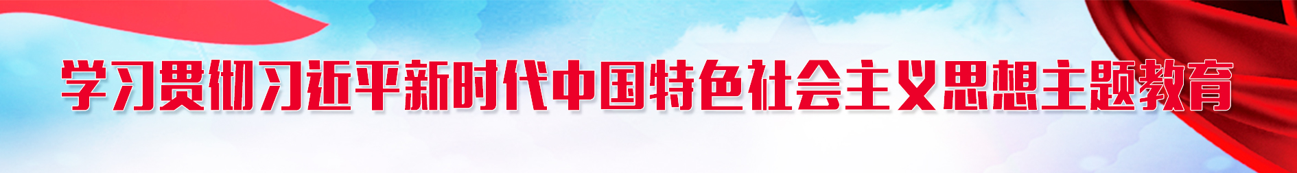 学习贯彻习近平新时代中国特色社会主义思想主题教育