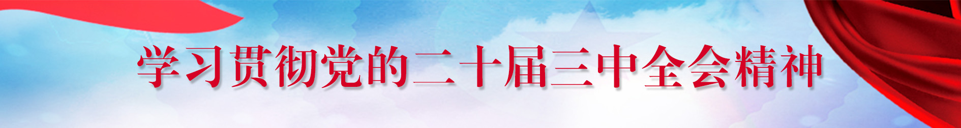 学习贯彻党的二十届三中全会精神