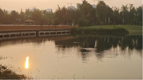 11151b8bf9ccb5208ddba22c9220fcc1_1769581574638_30650.png 11151b8bf9ccb5208ddba22c9220fcc1_1769581574638_30650.png