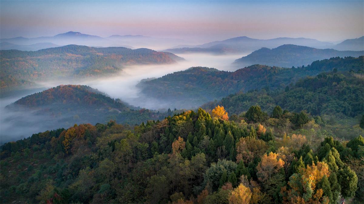 秋季的龙泉山